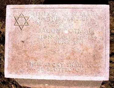 Yahudi Katır Birliği, görev başında…Yahudi Katır Birliği mensuplarından birinin Gelibolu’daki İngiliz mezarlığındaki mezarı…