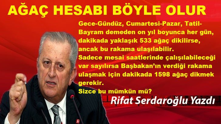 Rıfat Serdaroğlu: AĞAÇ HESABI BÖYLE OLUR - Rifat Serdaroglu 10