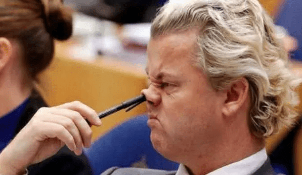 Hollanda milletvekiline Cumhurbaşkanına hakaret davası