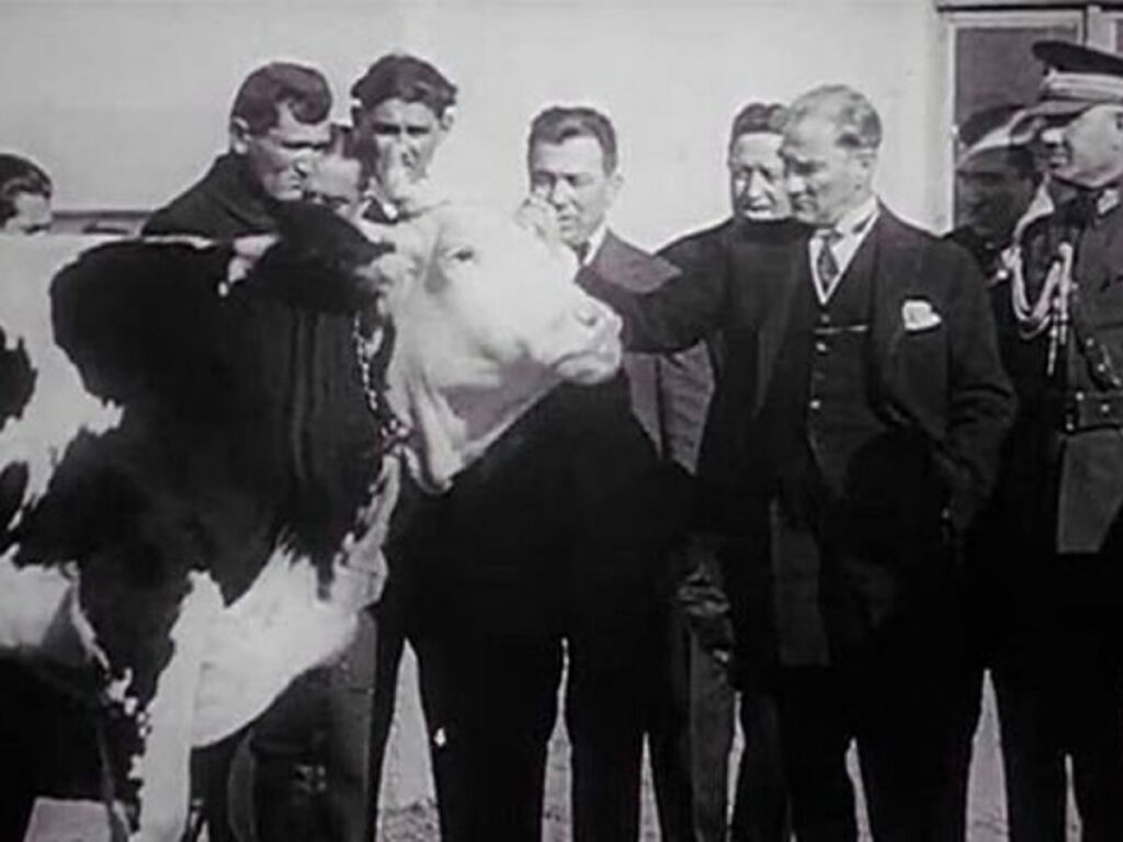 Atatürk Dönemi Hayvancılık Politikası -ATATÜRK ANSİKLOPEDİSİ / TURKISHFORUM - ABDULLAH TÜRER YENER - Ataturk Orman Ciftligi ataturk hayvancilik