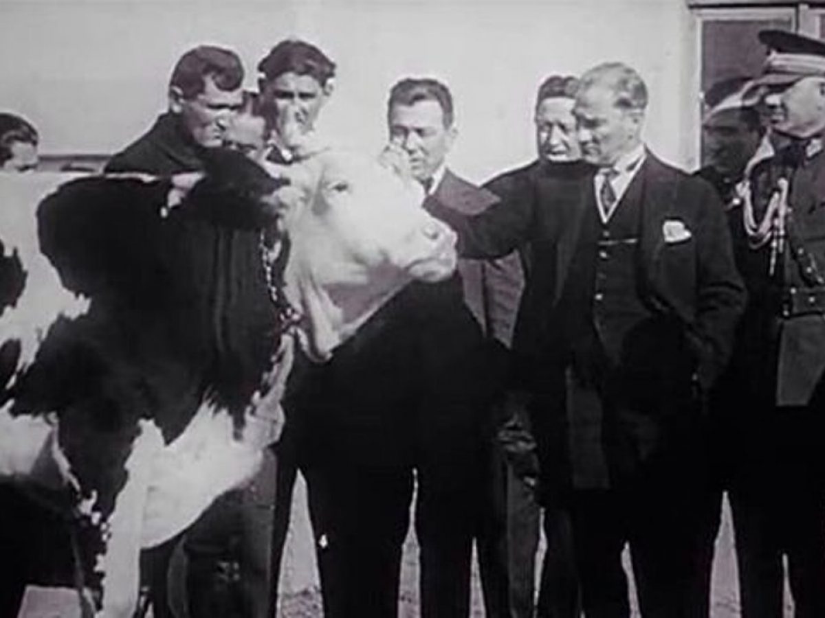 Atatürk Dönemi Hayvancılık Politikası