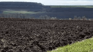 Neden Ukrayna ve Rusya Daha Çok Buğday ve Ayçiçeği Üretiyor? - toprak tarla