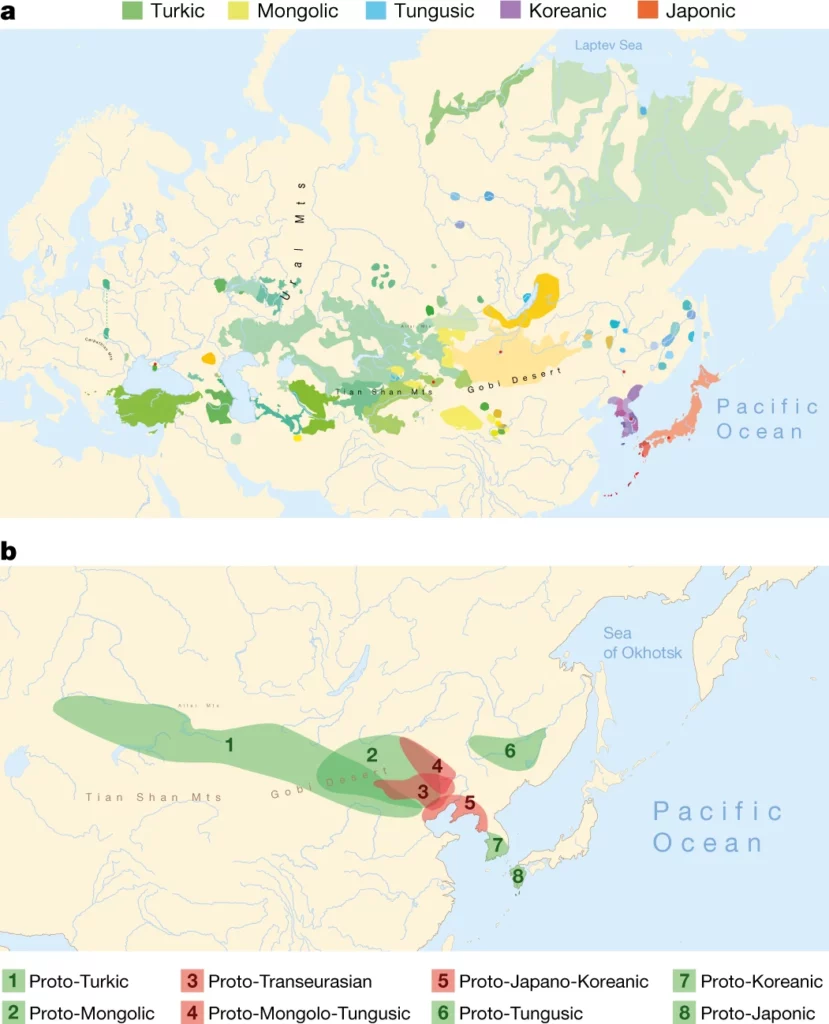 Nature dergisinde geçen yıl yayınlanan bir yazıya göre Moğolca, Türkçe, Japonca, Korece ve Tunguzca konuşanlar, şu anda kuzey Çin'de bulunan Liao nehri vadisindeki bir grup darı çiftçisinden geliyor. - turk tarihi turkce