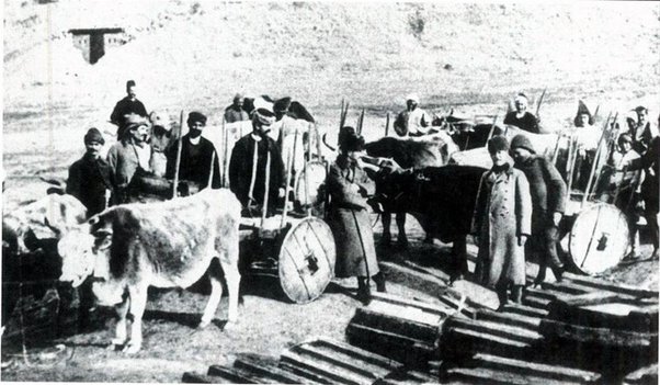 Hayvan hakları ile ilgili dünyadaki ilk resmi düzenleme? - retired animals ottoman hayvan osmanli