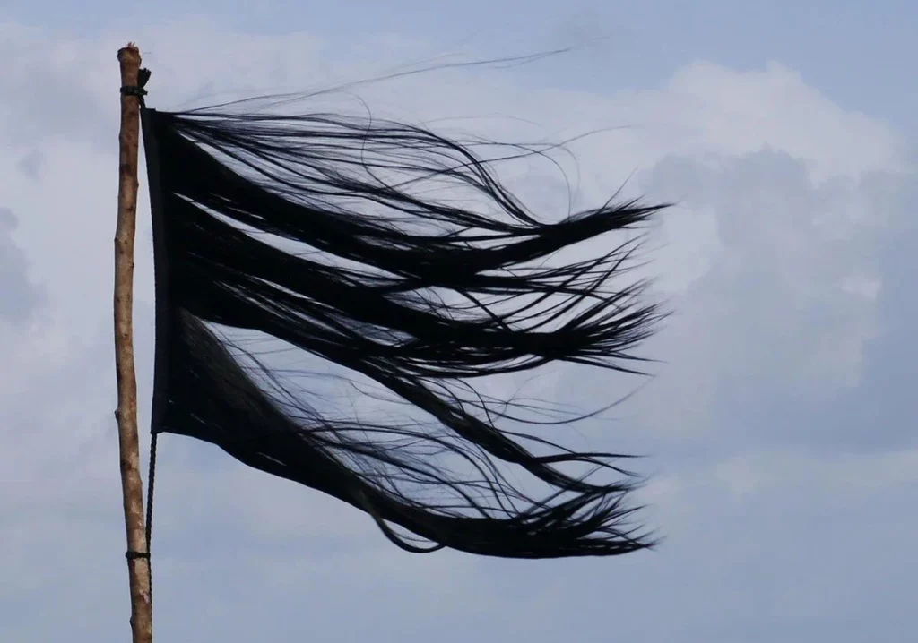 Belçikalı kadın sanatçı Edith Dekyndt’in Mahsa Amini’nin ‘saçtan yapılmış bayrak’ eseri