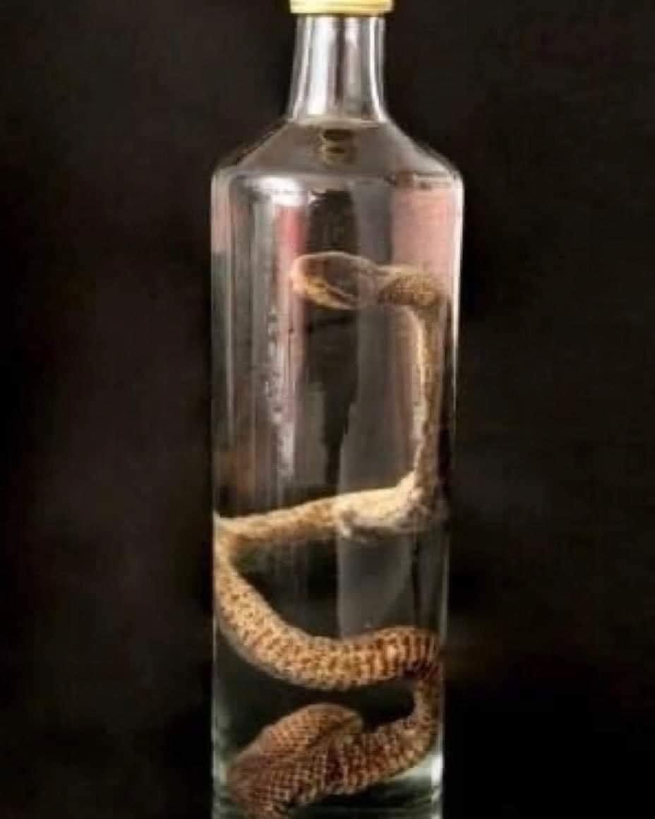 Tesadüfe bakar mısın. Konuşan yılan. Sorulan soruları cevaplıyorOrtaokul, lise yıllarımda bir arkadaşım anlatmıştı.Bir işportacı…İşportacının elinde bir şişe…Şişede bir yılan…İşportacı şişenin içindeki yılanın konuşabildiğini iddia ediyormuş…‘’Şimdi bu şişenin kapağını açacam ve ona sorular soracaksınız. O cevap verecek’’ dedikten sonra ‘’Ancak şişeyi açmadan önce şu jiletlerden size hediye etmek istiyorum. Hediyesi 25 kuruş’’ diyormuş. - sisede yilan