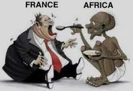 Siz Cezayirliler, Fransa tarafından sömürgeleştirilmekten gurur duymalısınız.Guillaume Bigot,Fransız siyaset bilimcisi,10 Nisan 2021(*) - fransa afrika