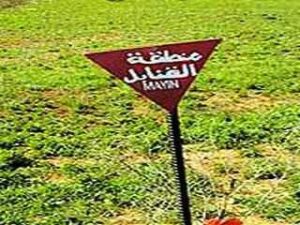 Mayınlı Araziler Mayın Şehitlerine Verilmelidir