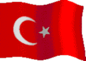 DALGALI BAYRAK.gif