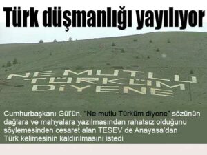 Türk düşmanlığı yayılıyor