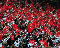 Viyana’da Türklere çirkin saldırı