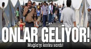 Hükümetten mültecilere yazlık!