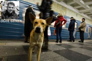 SSCB’den kapitalist düzene… Moskova metrosu köpeklerinin inanılmaz öyküsü!