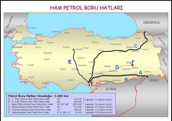 tolga y2