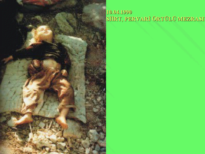 viewer (18)