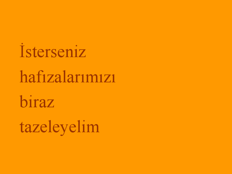 viewer (6)