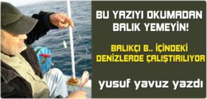 Bu yazıyı okumadan balık yemeyin!