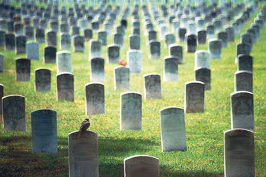 Cemetery