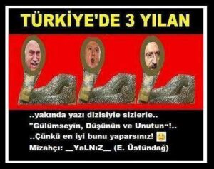 TÜRKİYE’DE 3 YILAN (yazı tanıtım) !