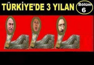 TÜRKİYE’DE 3 YILAN (Bölüm 6)