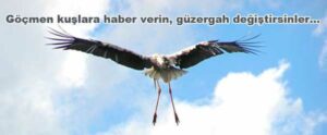 Yerli kuşlar