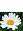 26-11-2013_3-