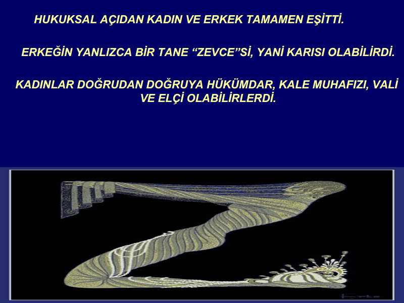 viewer (2)