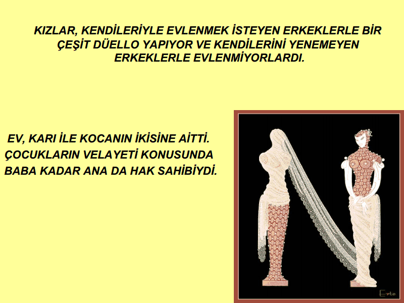 viewer (3)