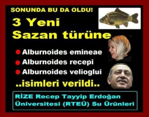 ÜÇ YENİ SAZAN TÜRÜNE BU İSİMLER VERİLDİ