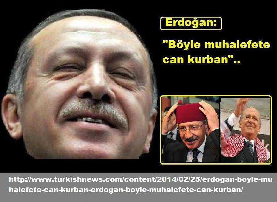 22a91a2d93f6c8