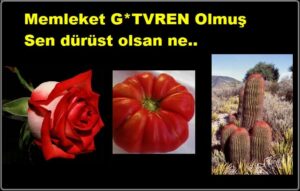 Memleket G*TVREN Olmuş Sen dürüst olsan ne..
