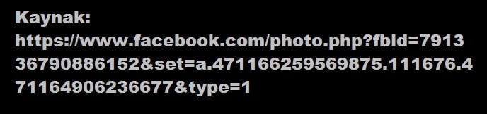 1475830_791336790886152_4640904836617192612_n