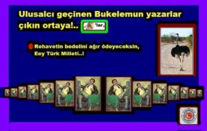 Ulusalcı geçinen Bukelemun yazarlar çıkın ortaya!