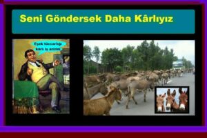 Seni Göndersek Daha Kârlıyız