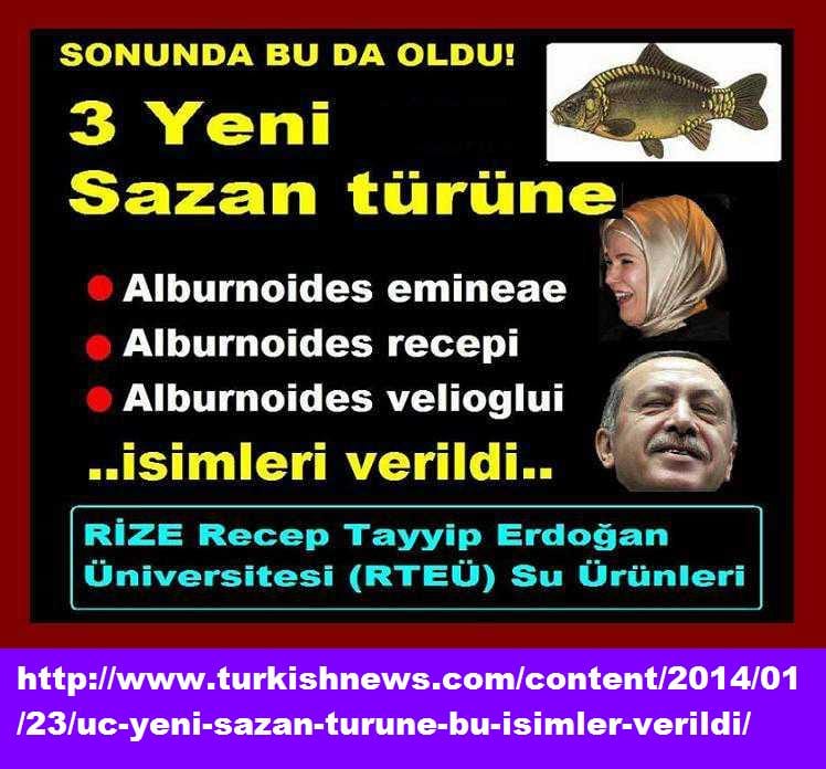 23_1_14-0005tayipus