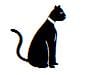 kedi