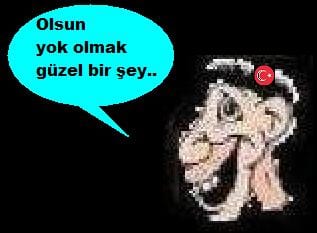 s5577z