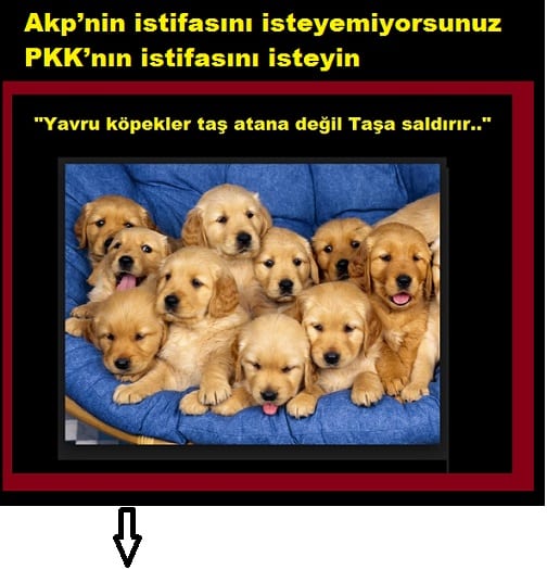 akepe