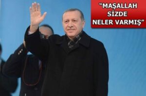 Bu Şirkette Küçük Ortakların Hakları Ne Oluyor?