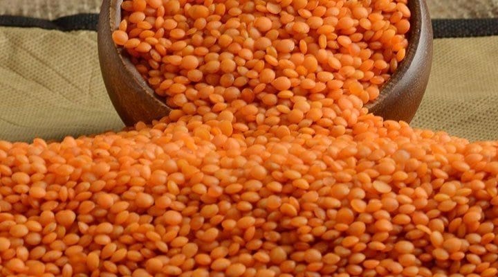 39 bin ton GDO'lu mercimek piyasaya sürülüyor
