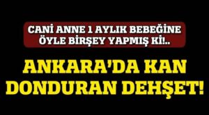 ankara_bebek