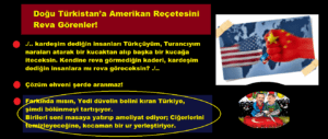 43n5