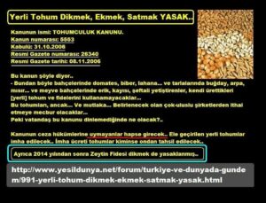 222_yerli-tohum