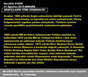 n_aydın