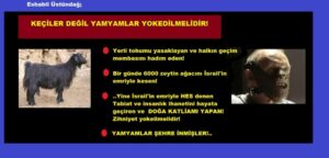 yamyam1_177174438352d3