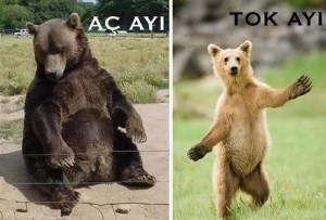 aç-ayı-oynamaz