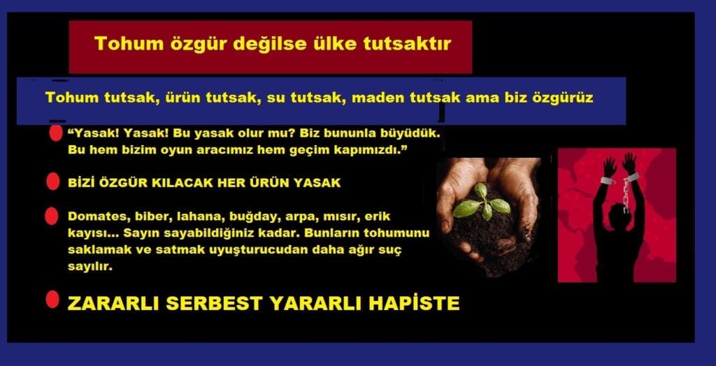 İnsanın insanlığı onun hayvanlarla ilişkisinden bilinir