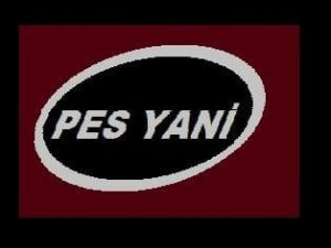 3224
