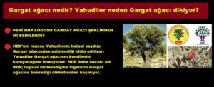 Gargat ağacı nedir? Yahudiler neden Gargat ağacı dikiyor?