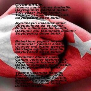 Cumhuriyetçi Hareket İçin Çıkış Yolu: Yeniden Kitleleşmenin Sosyolojisi
